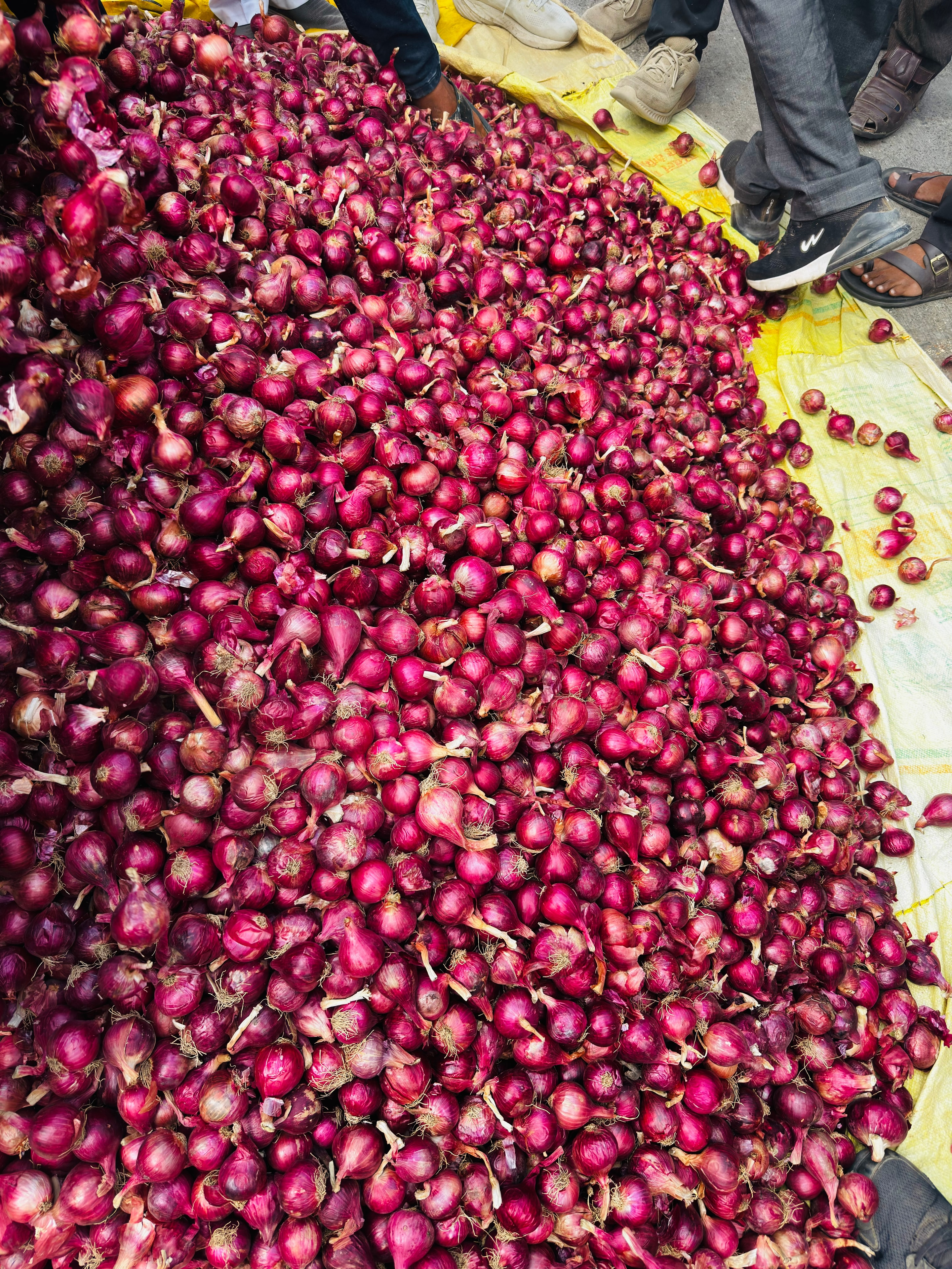 Our story — onion trading