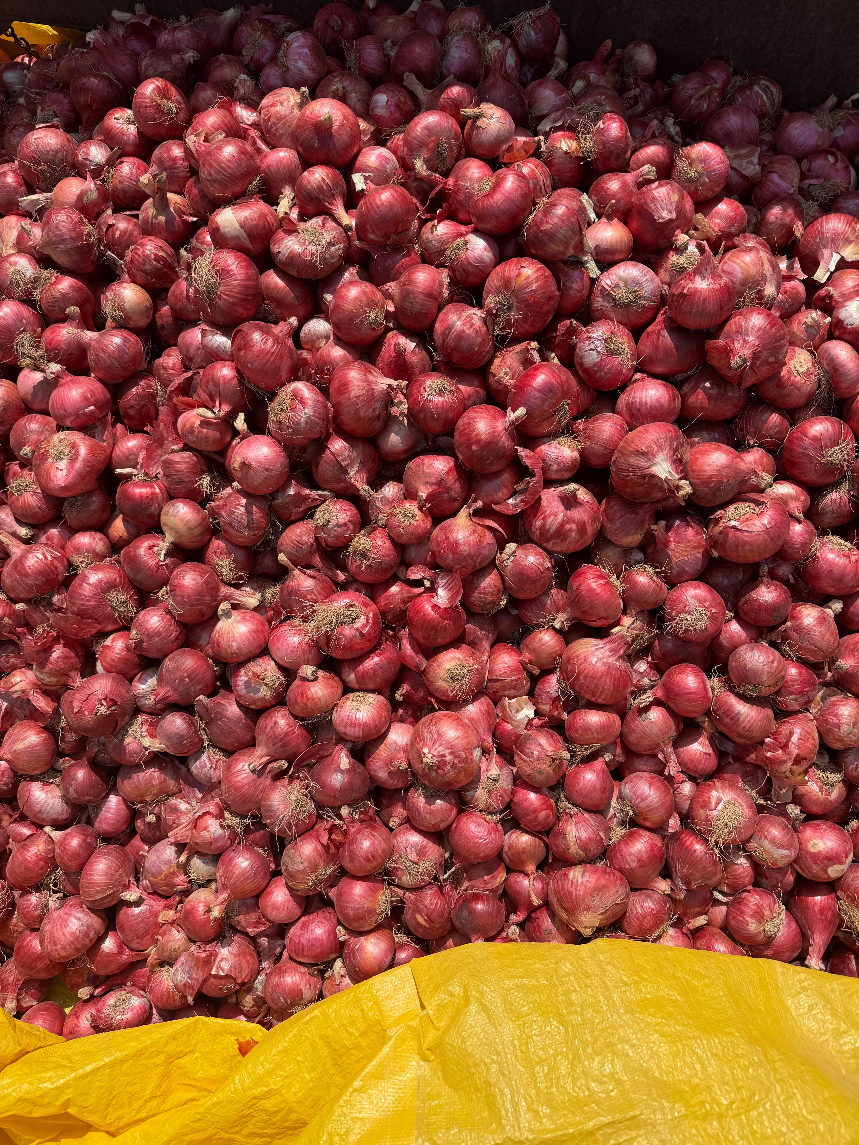 Bulk Supply