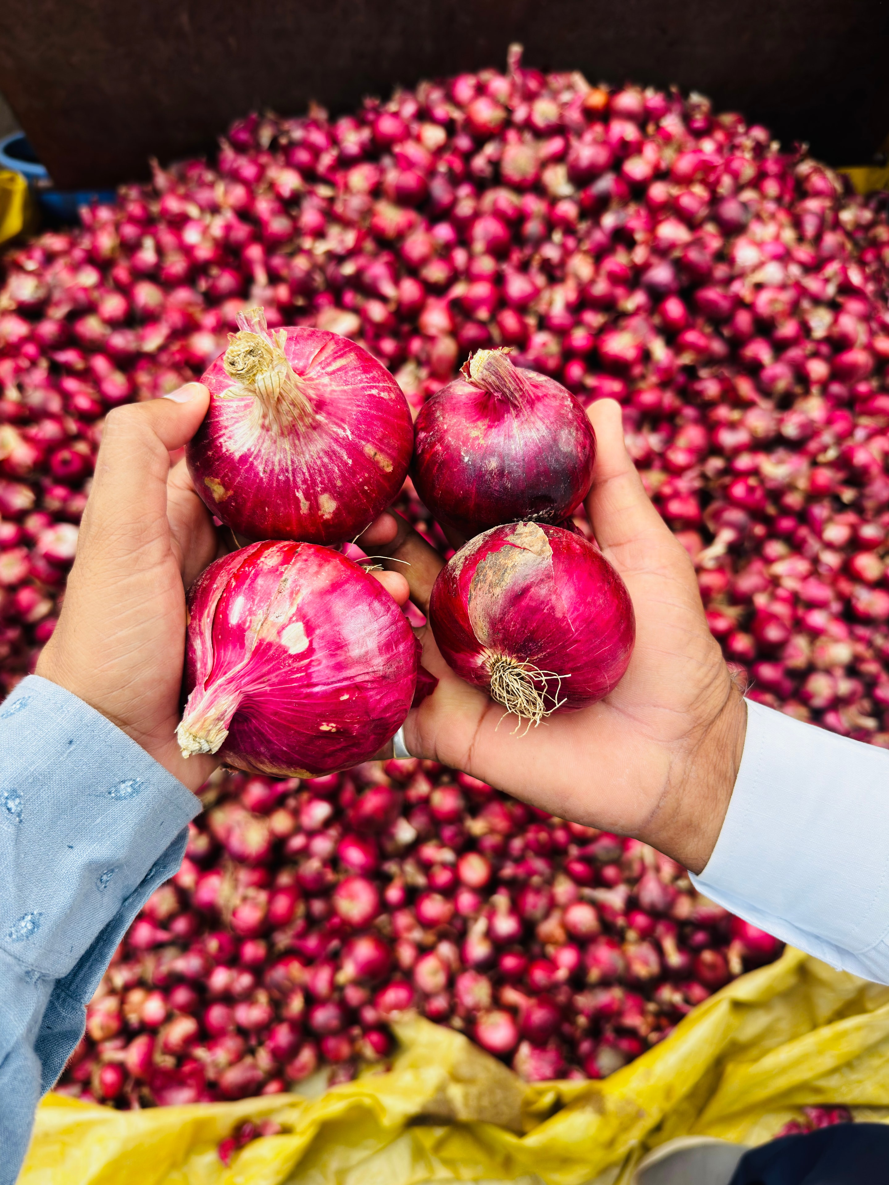 Red Onions